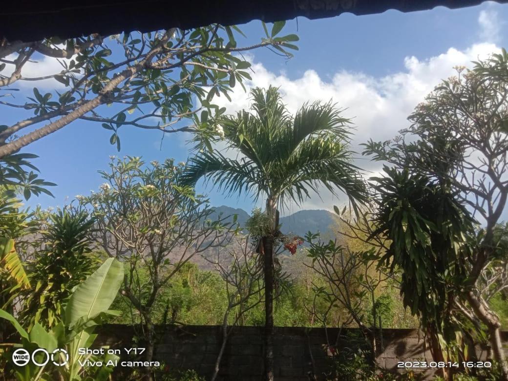 Tirta Bali Homestay Pemuteran Zewnętrze zdjęcie