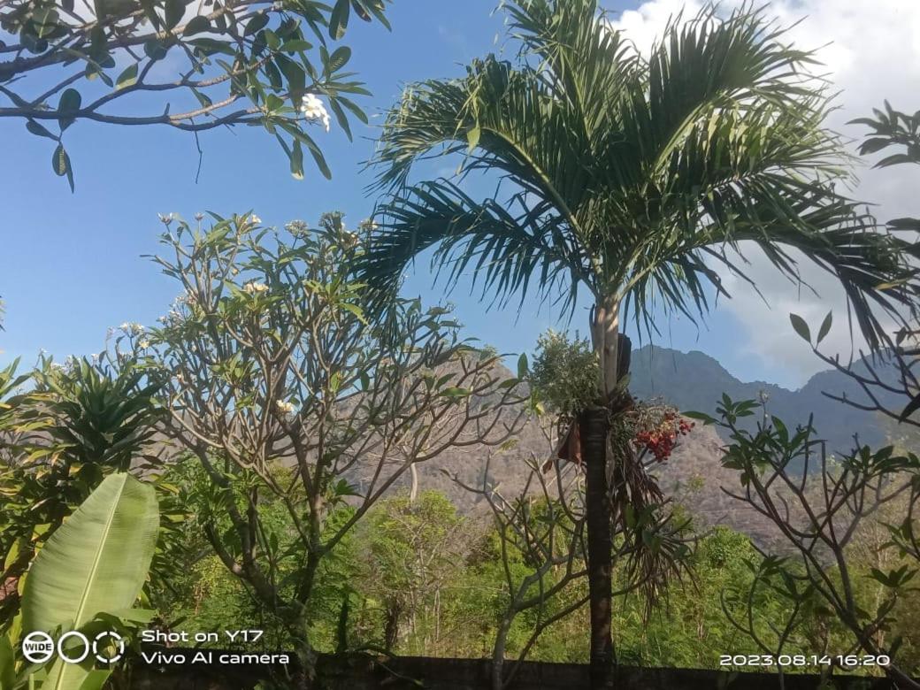 Tirta Bali Homestay Pemuteran Zewnętrze zdjęcie